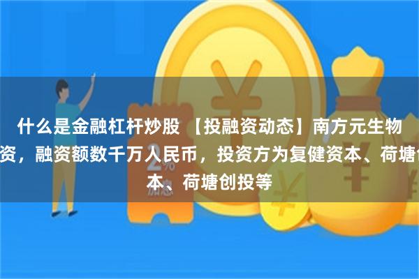什么是金融杠杆炒股 【投融资动态】南方元生物A轮融资，融资额数千万人民币，投资方为复健资本、荷塘创投等