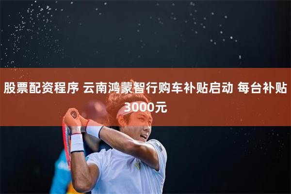 股票配资程序 云南鸿蒙智行购车补贴启动 每台补贴3000元