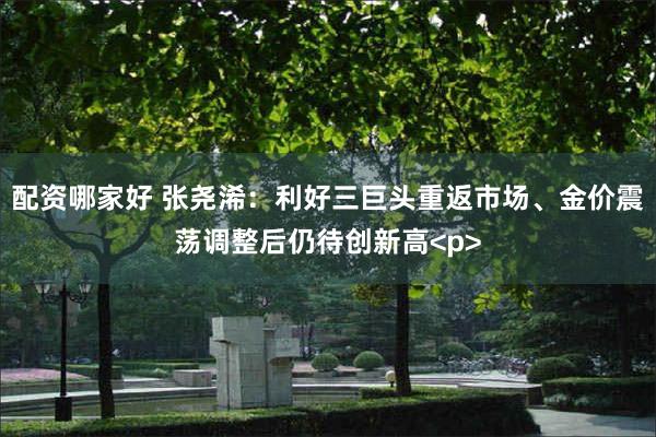 配资哪家好 张尧浠：利好三巨头重返市场、金价震荡调整后仍待创新高<p>