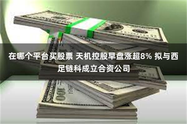 在哪个平台买股票 天机控股早盘涨超8% 拟与西足链科成立合资公司