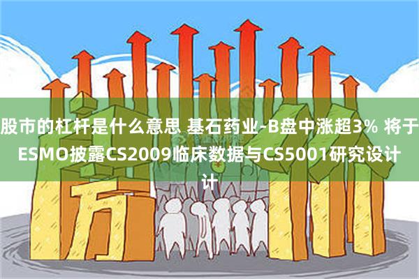 股市的杠杆是什么意思 基石药业-B盘中涨超3% 将于ESMO披露CS2009临床数据与CS5001研究设计