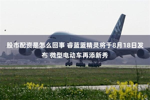 股市配资是怎么回事 睿蓝蓝精灵将于8月18日发布 微型电动车再添新秀