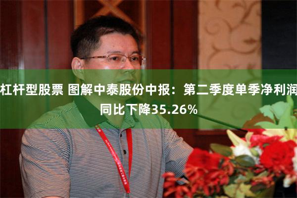 杠杆型股票 图解中泰股份中报：第二季度单季净利润同比下降35.26%