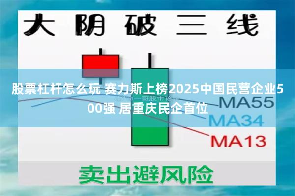 股票杠杆怎么玩 赛力斯上榜2025中国民营企业500强 居重庆民企首位