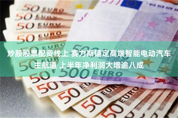 炒股股票配资线上 赛力斯锚定高端智能电动汽车主航道 上半年净利润大增逾八成
