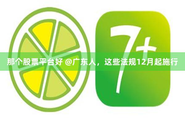 那个股票平台好 @广东人，这些法规12月起施行
