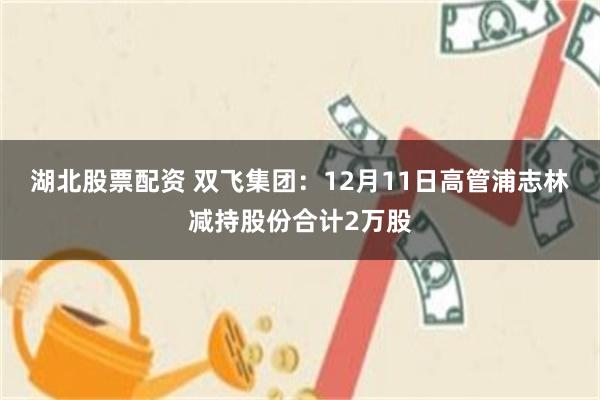 湖北股票配资 双飞集团：12月11日高管浦志林减持股份合计2万股