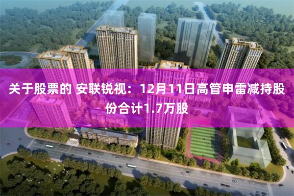 关于股票的 安联锐视：12月11日高管申雷减持股份合计1.7万股