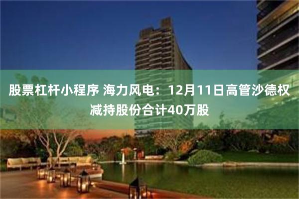 股票杠杆小程序 海力风电：12月11日高管沙德权减持股份合计40万股