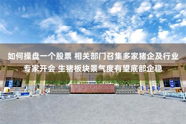 如何操盘一个股票 相关部门召集多家猪企及行业专家开会 生猪板块景气度有望底部企稳