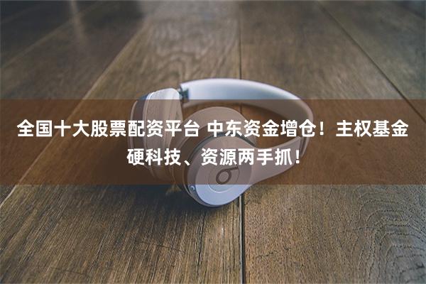 全国十大股票配资平台 中东资金增仓！主权基金硬科技、资源两手抓！