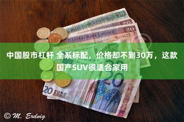 中国股市杠杆 全系标配，价格却不到30万，这款国产SUV很适合家用