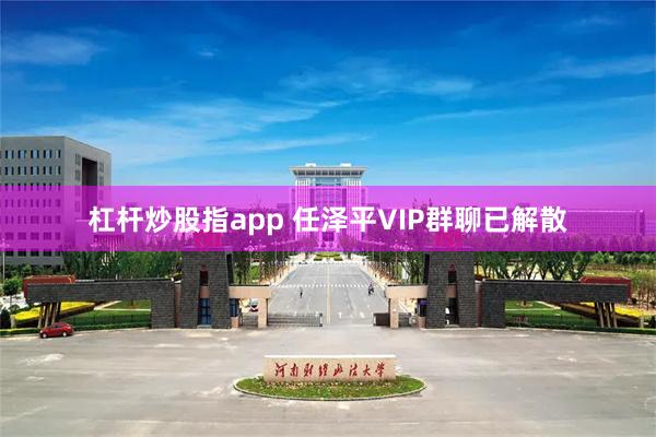 杠杆炒股指app 任泽平VIP群聊已解散