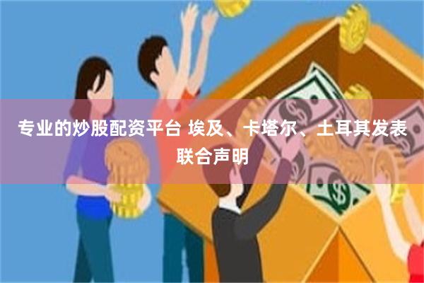 专业的炒股配资平台 埃及、卡塔尔、土耳其发表联合声明