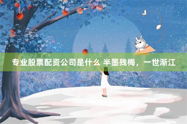 专业股票配资公司是什么 半墨残梅，一世渐江