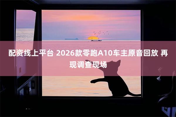 配资线上平台 2026款零跑A10车主原音回放 再现调查现场