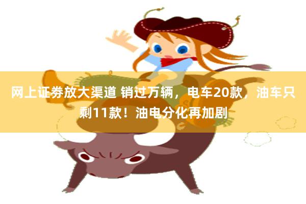网上证劵放大渠道 销过万辆，电车20款，油车只剩11款！油电分化再加剧