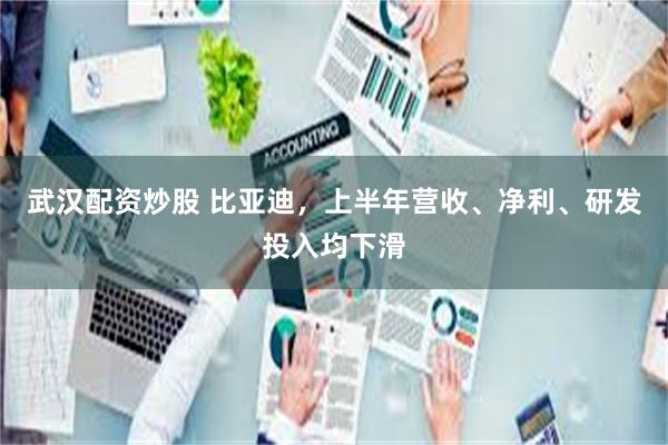 武汉配资炒股 比亚迪，上半年营收、净利、研发投入均下滑