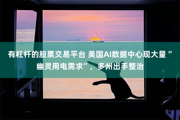 有杠杆的股票交易平台 美国AI数据中心现大量“幽灵用电需求”，多州出手整治