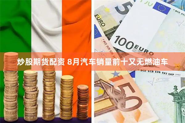 炒股期货配资 8月汽车销量前十又无燃油车