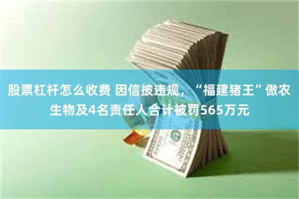 股票杠杆怎么收费 因信披违规，“福建猪王”傲农生物及4名责任人合计被罚565万元