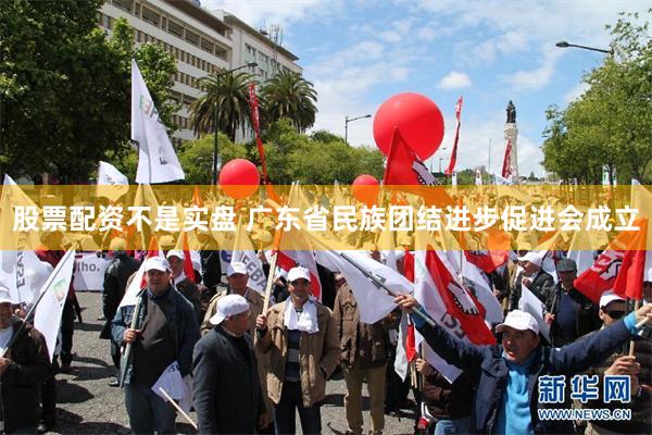 股票配资不是实盘 广东省民族团结进步促进会成立