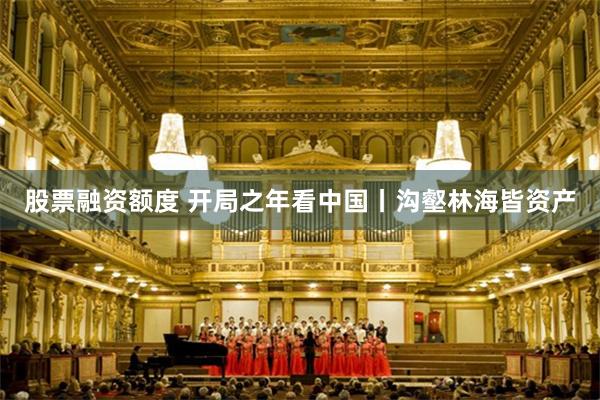 股票融资额度 开局之年看中国丨沟壑林海皆资产
