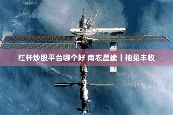 杠杆炒股平台哪个好 南农晨读丨柚见丰收