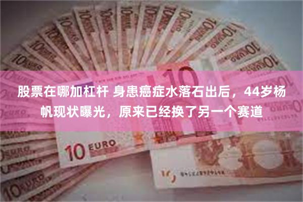 股票在哪加杠杆 身患癌症水落石出后，44岁杨帆现状曝光，原来已经换了另一个赛道