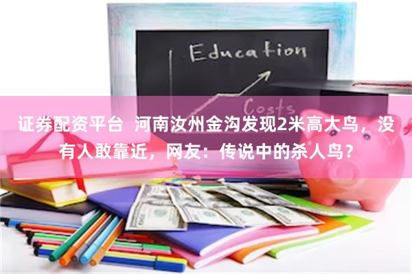 证券配资平台  河南汝州金沟发现2米高大鸟，没有人敢靠近，网友：传说中的杀人鸟？