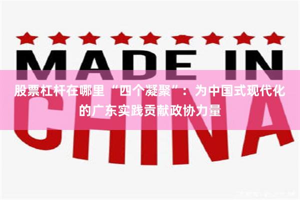 股票杠杆在哪里 “四个凝聚”：为中国式现代化的广东实践贡献政协力量
