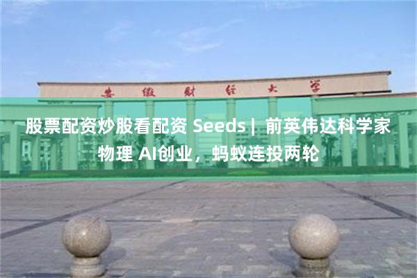股票配资炒股看配资 Seeds |  前英伟达科学家物理 AI创业，蚂蚁连投两轮