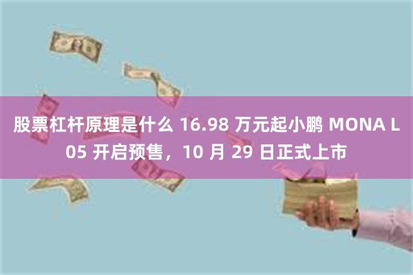 股票杠杆原理是什么 16.98 万元起小鹏 MONA L05 开启预售，10 月 29 日正式上市