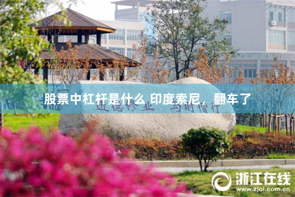 股票中杠杆是什么 印度索尼，翻车了