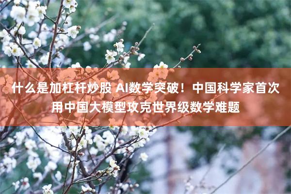 什么是加杠杆炒股 AI数学突破！中国科学家首次用中国大模型攻克世界级数学难题